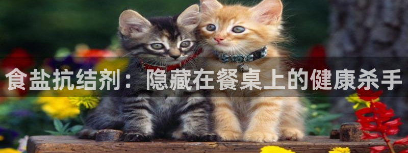 威九国际能提现吗安全吗