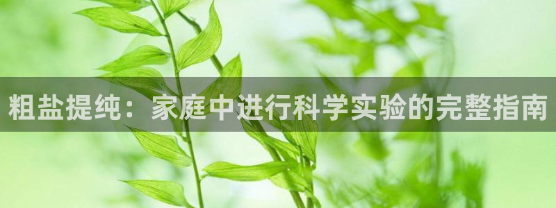 66m威九国际成长模式