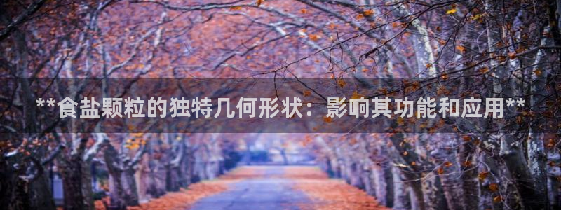威九国际