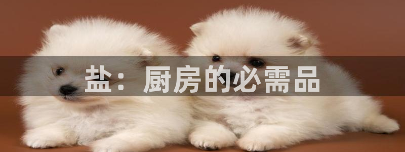 威九国际78mob游戏说明