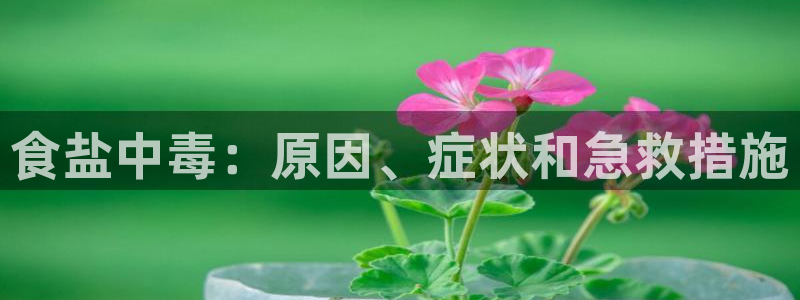 威九国际66m官网版