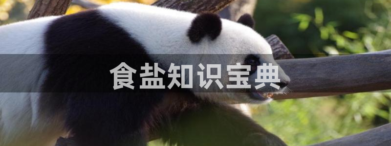 威九国际APP那个地方