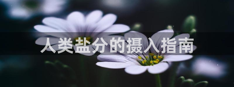 威九国际官网版