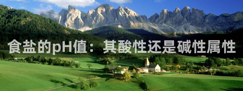 威九国际ppt免费下载