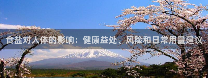 威九国际网站怎么样