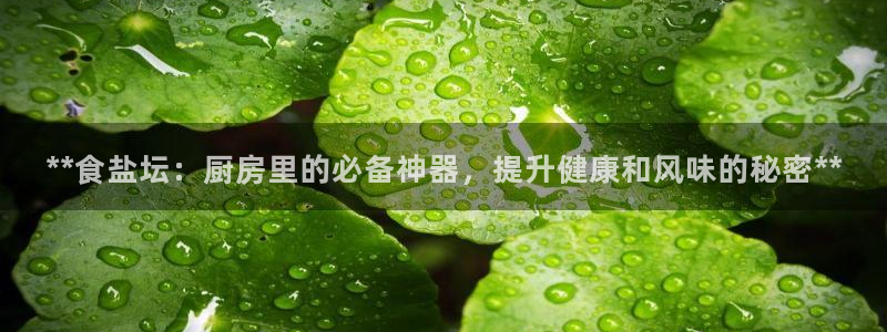 威九国际最新网站
