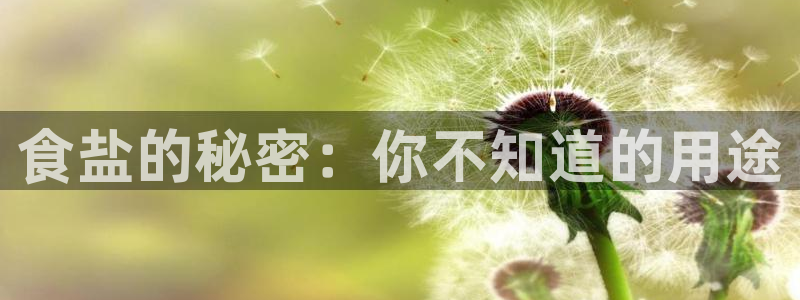 威九国际网站怎么样知乎