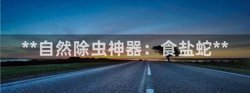 威九国际电影2022年9月月