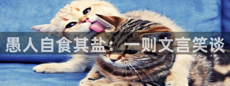 威九国际清砖码