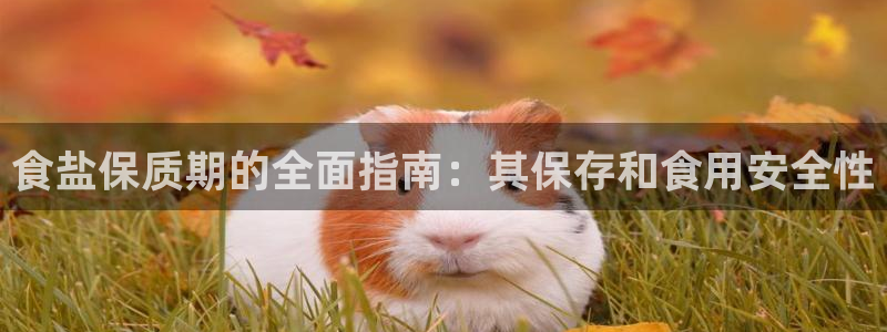 威九国际的演员