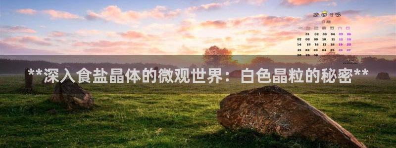 威九国际真人玩家在线对战