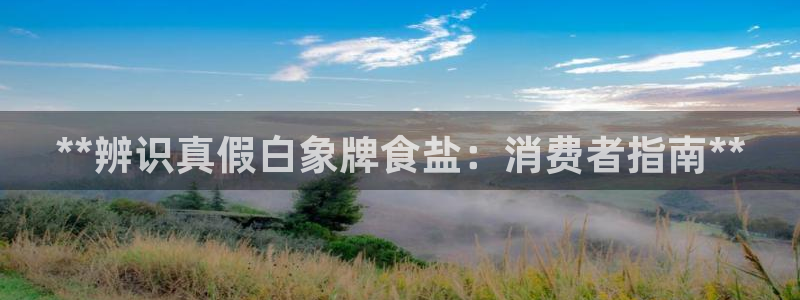 威九国际清砖码头在哪