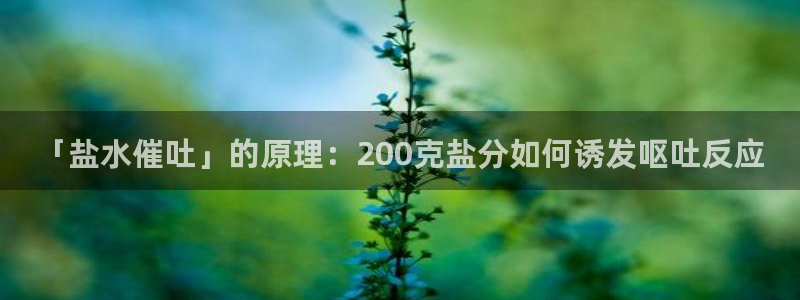 威九国际女艺人