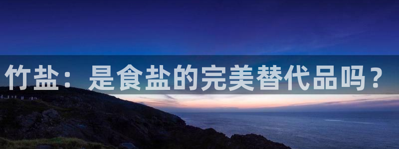威九国际X8