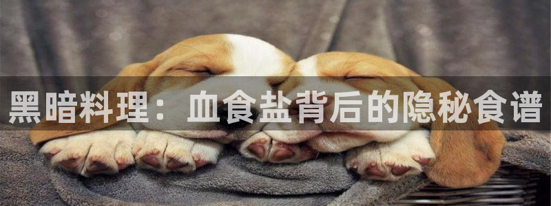 威九国际mm