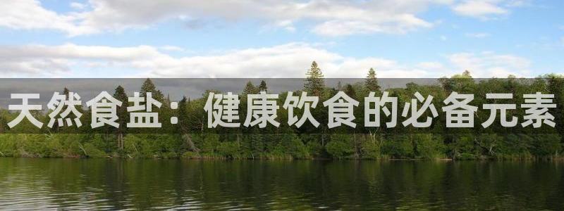保定威九网络科技有限公司电话