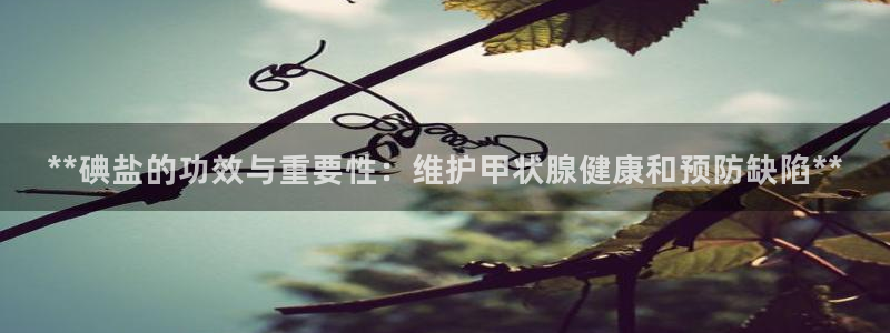 威九国际能提现吗