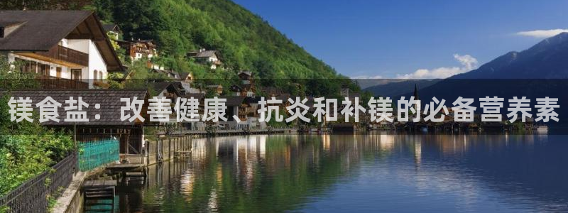 威九国际ppt免费