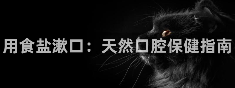 威九国际app大全下载安装