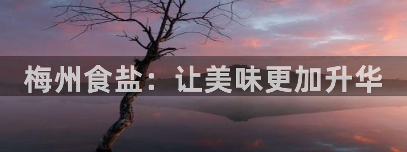 威九国际FT