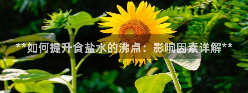 威九国际第一页