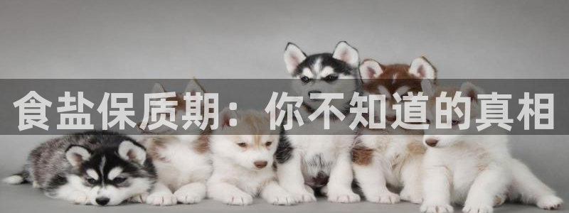 保定威九网络科技有限公司