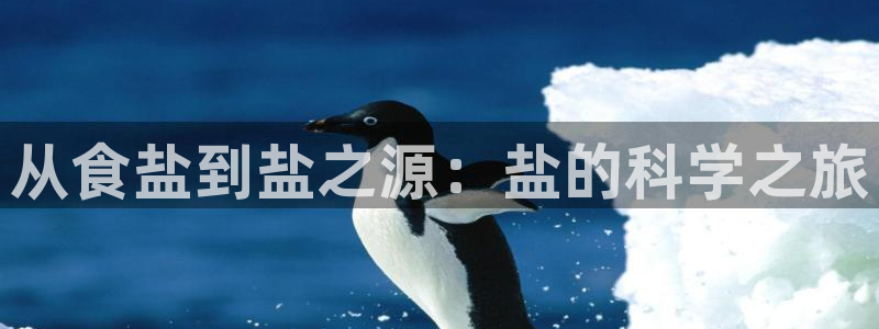 威九国际78mb42- MBA中文