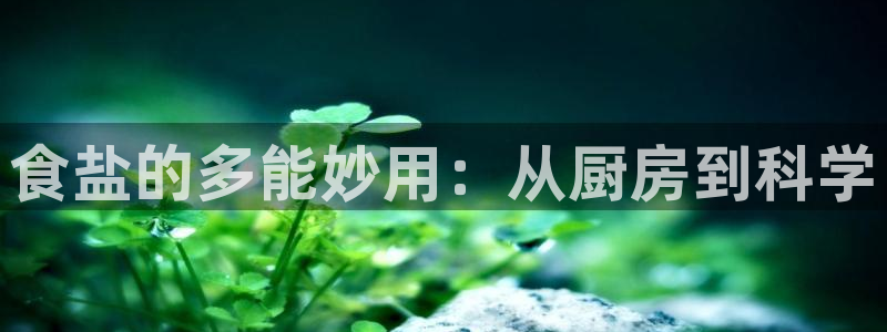 威九国际ppt官网