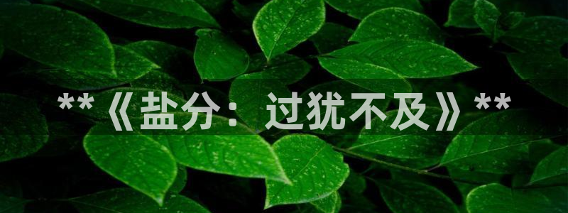 威九国际78免下载