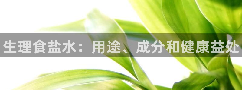 保定威九网络科技有限公司电话