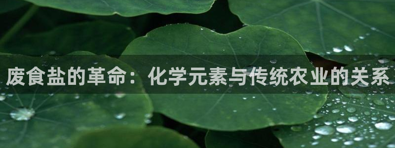威九国际网站官网