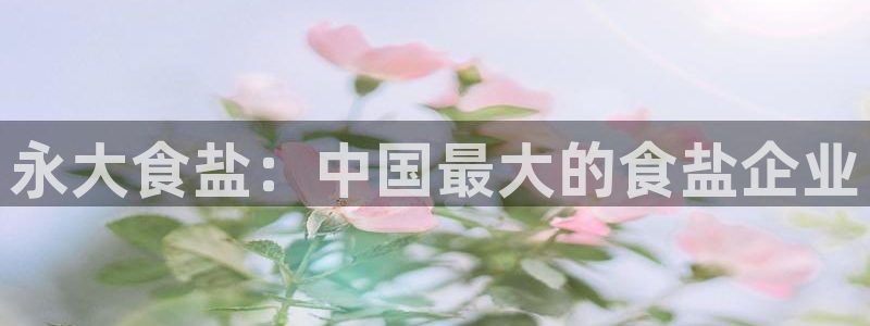 78mapp威九国际人民网