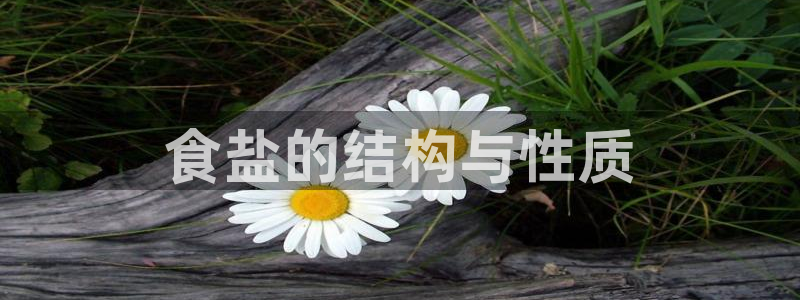 威九国际Info