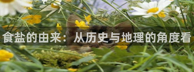 威九国际78mb下