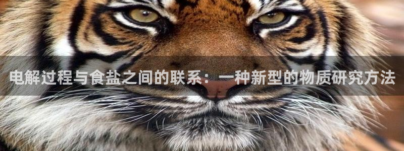威九国际软件公司简介