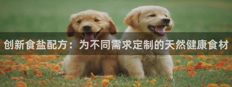 威九国际女演员好漂亮