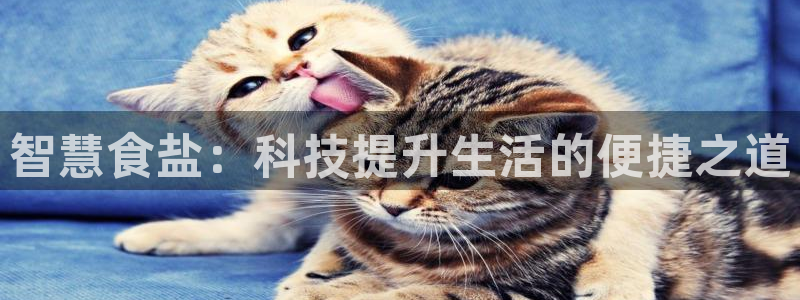 威九国际提款不出来