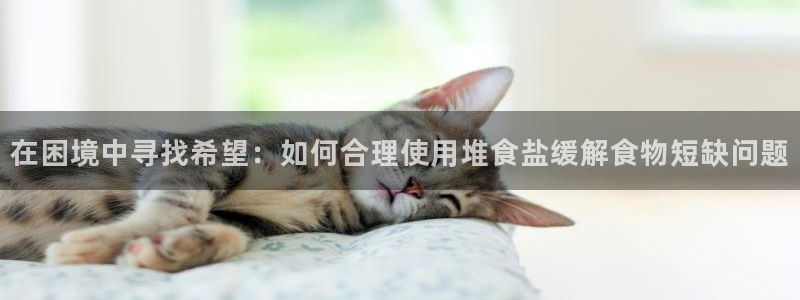 威九国际网站经常打不开网页