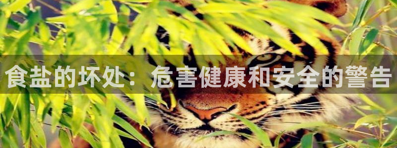 威九国际66视频
