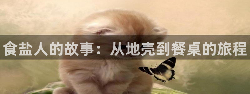 威九国际h5