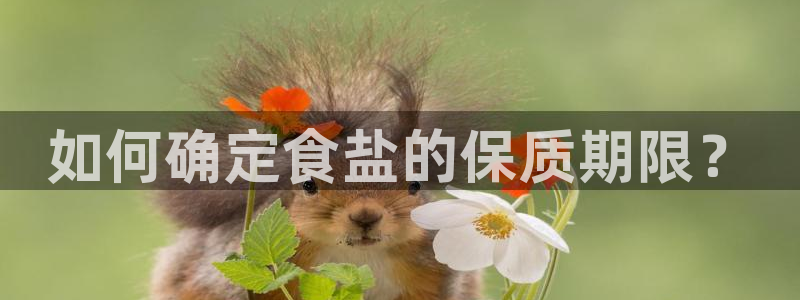 威九国际网站入口rdquo