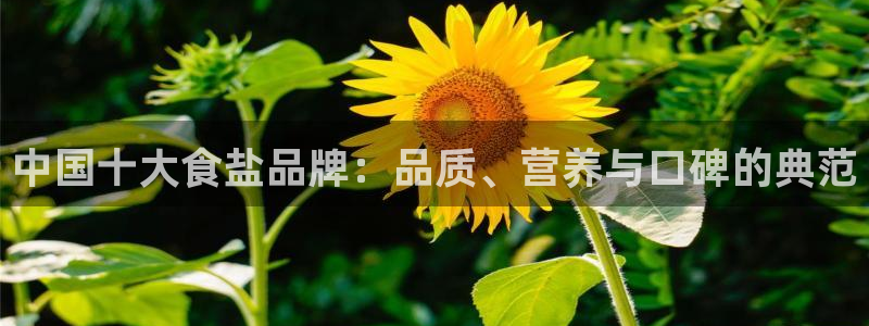 威九国际app客服电话多少
