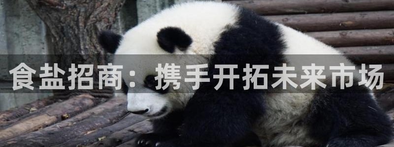 威九国际惠子