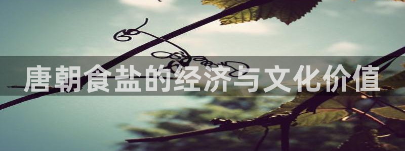 威九国际网站客服电话多少啊