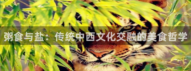 威九国际热舞