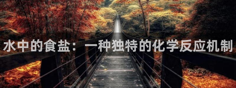威九国际客服电话是多少