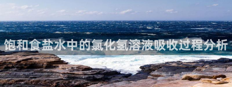 威九国际ppt免费