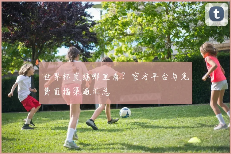 世界杯直播哪里看？官方平台与免费直播渠道汇总