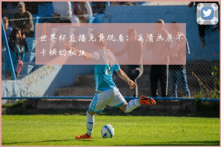 世界杯直播免费观看：高清画质不卡顿的秘诀
