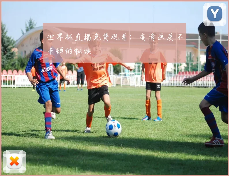 世界杯直播免费观看：高清画质不卡顿的秘诀
